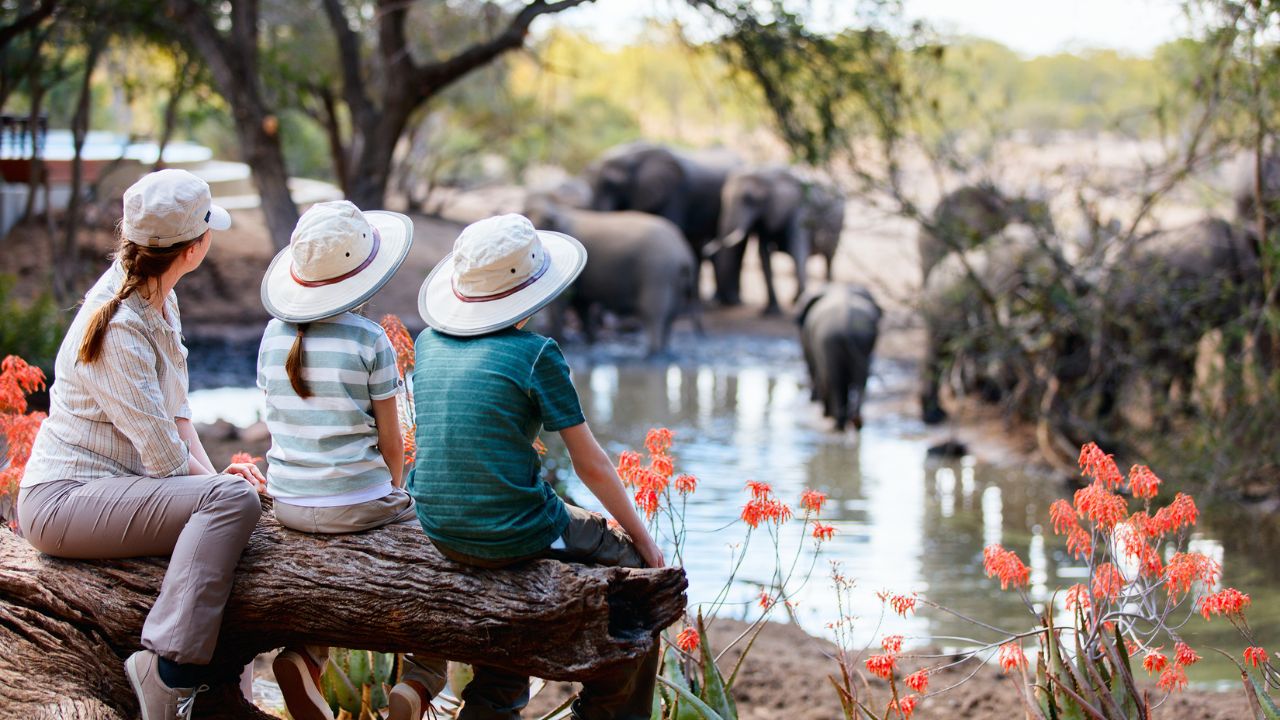 Safari Parks for Kids