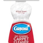 7 Top Carpet Cleaners That Help Prevent Mold: Can Carpet Cleaner Cause Mold? (And How to Avoid It!)